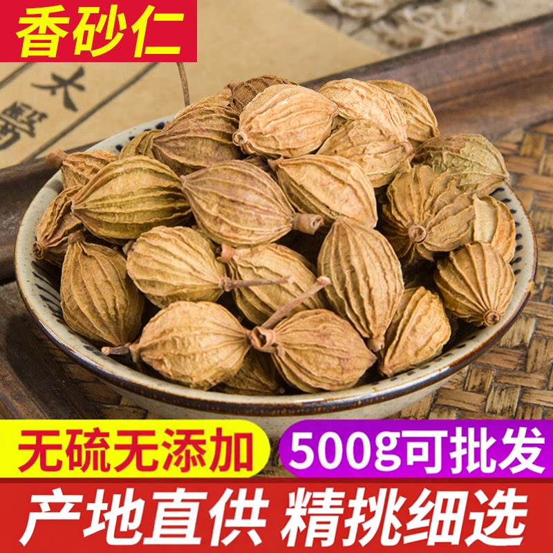 四川香砂仁香料沙仁500g砂黄金砂仁特产炖肉卤菜调料大全无硫散装