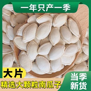 2025当季新货精选大颗粒南瓜子生原味无漂白正品无添加官方旗舰店