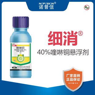 诺普信细消40%喹啉铜悬浮剂黄瓜细菌性角斑病植物农资农药杀菌剂