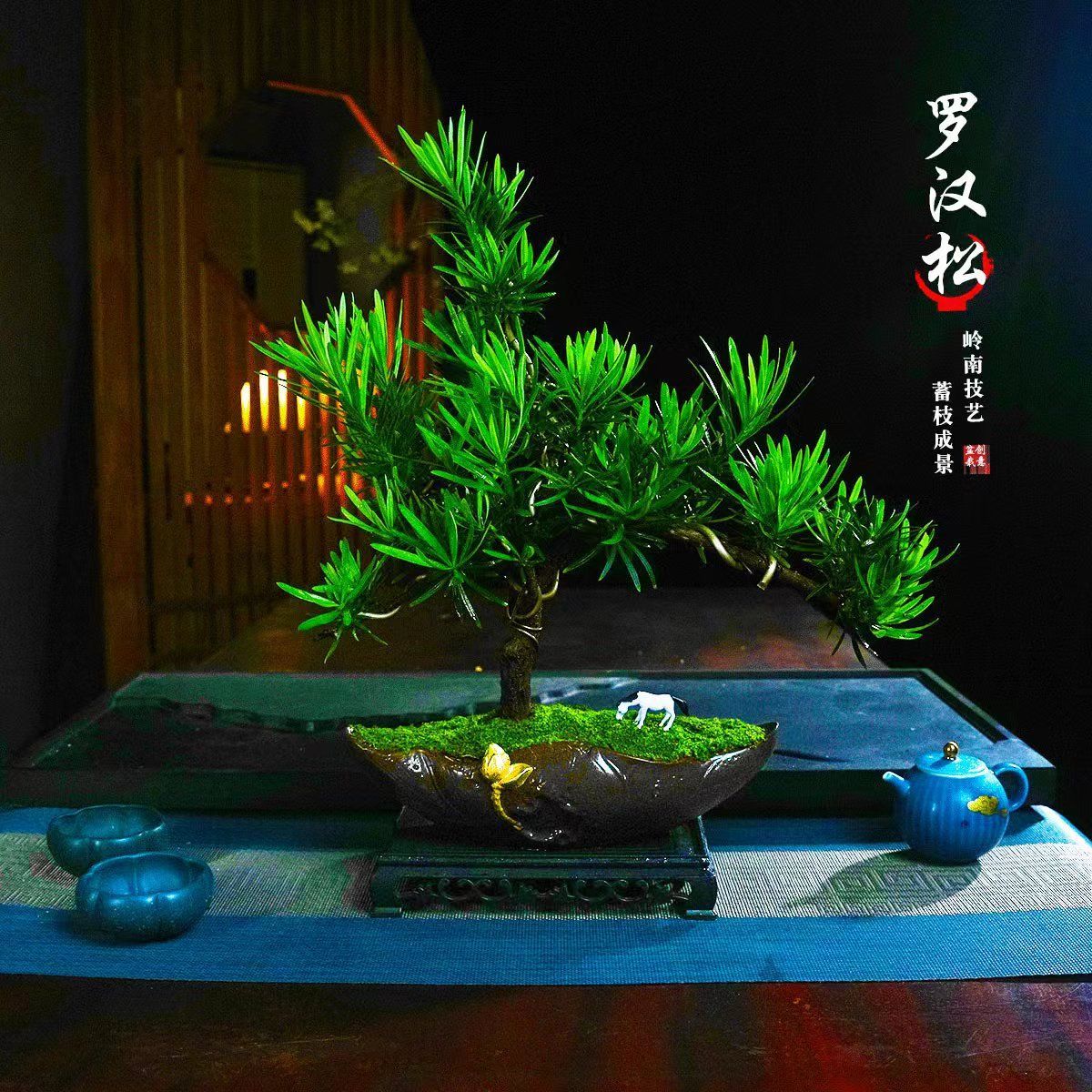 罗汉松盆景老桩植物盆栽雀舌树苗桌面绿植