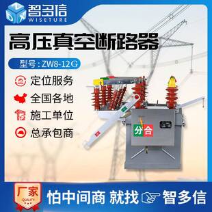 12G ZW8高压真空断路器ZW8 630A户外10KV手动智能带隔离柱上开关