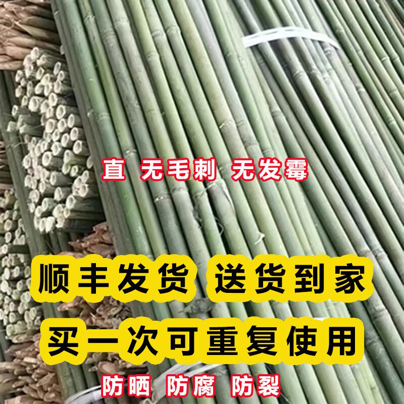 小竹竿菜园搭架细竹子豆角番茄黄瓜E葡萄蔬菜爬藤架篱笆栅栏彩旗