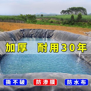 鱼塘防渗膜水池鱼池专用防水帆布加厚养殖L储蓄水池塑料膜防雨油