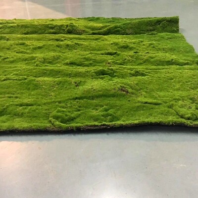 仿真青苔藓草皮假苔藓仿真草坪仿A真绿植物墙装饰橱窗墙面景观盆