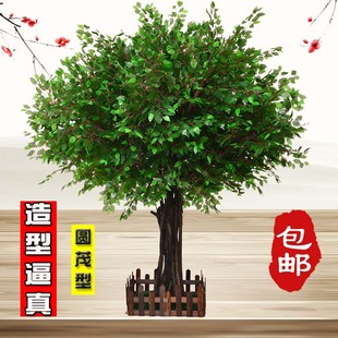 仿真大树假d树仿真榕树仿真大型植物装饰酒店大厅布景实木树干定