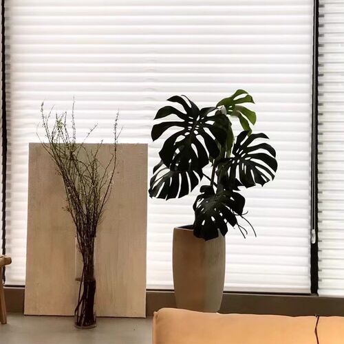 老桩龟背竹观叶i植物办公室内客厅大盆栽绿植物盆景净化空气吸甲