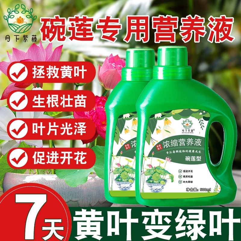 碗莲肥料碗莲营养液睡莲专用营养液促进开花的肥料水培荷花专用肥,鲜花速递/花卉仿真/绿植园艺,家庭园艺肥料,淘宝优惠券,粉丝福利购,淘宝优惠卷