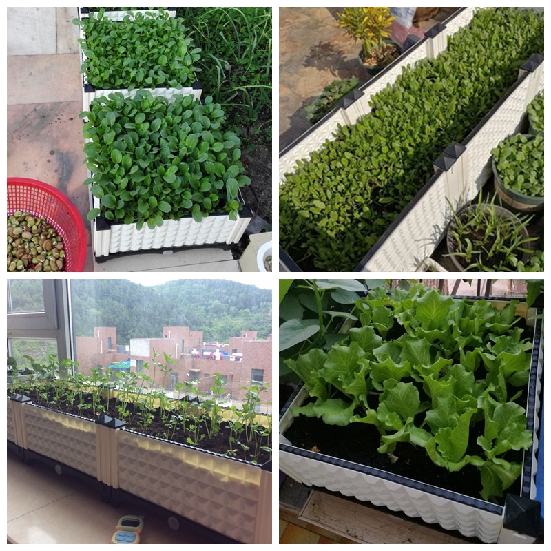 新家庭特大长条种菜盆阳台室内种菜箱设备种植箱蔬菜塑料花盆花槽