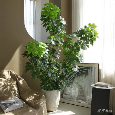 仿真绿加密鸭脚木仿大型落地真植物植厅商场橱窗造景假YJM003树客