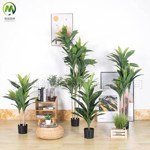 大型仿真绿植红树巴西木盘栽MC-20240室内落摆设仿真植物铁黄地边