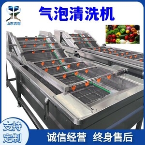 翻浪式桑叶粽叶海鲜去泥清洗机