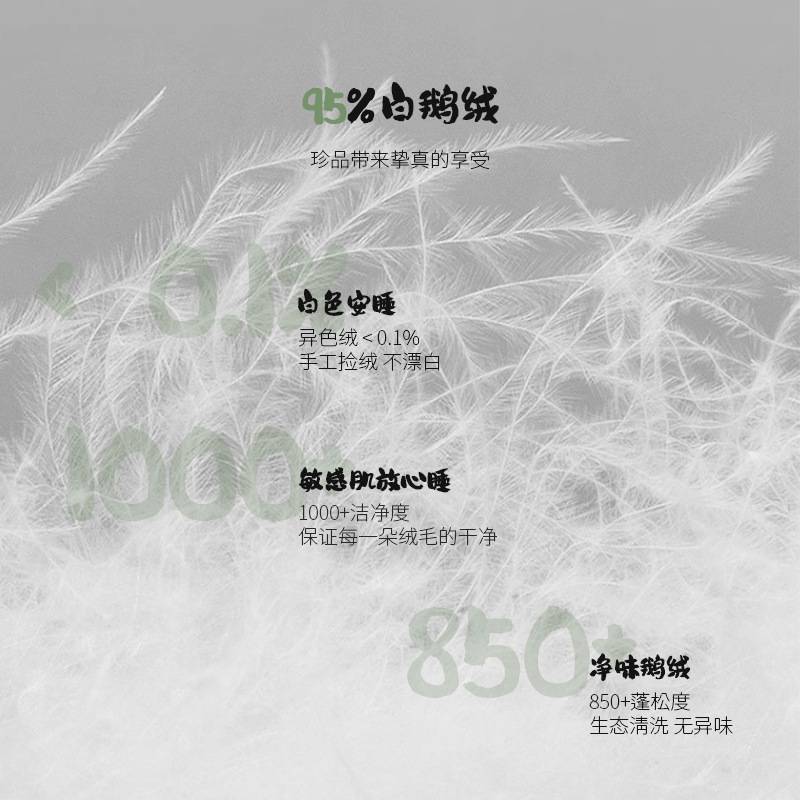 儿童羽绒被学生95鹅绒被幼儿园白鹅绒5Ａ级100鹅绒被卡通宝宝被芯