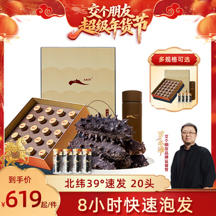 【交个朋友年货节】獐子岛北纬39°速发干海参8小时速发