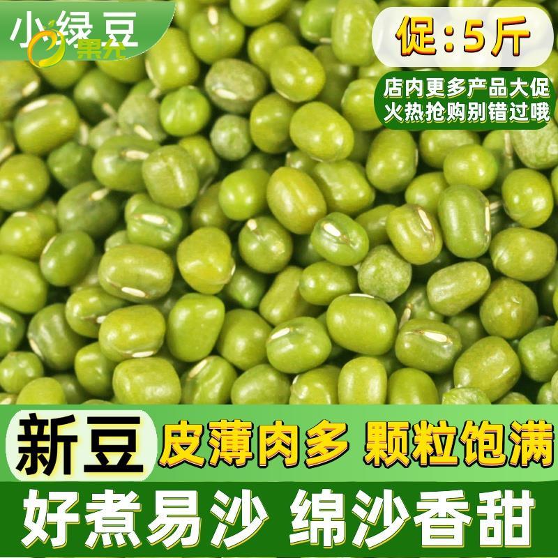 新货绿豆小绿豆 5斤农家自产发新鲜豆芽夏天熬绿豆汤材料小绿豆粥
