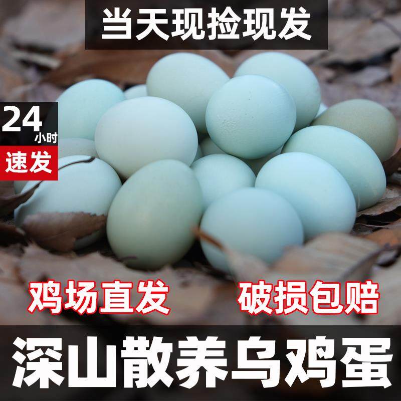 速发现货正宗农家土鸡蛋新鲜绿壳乌骨鸡蛋月子孕妇宝宝深山散养谷