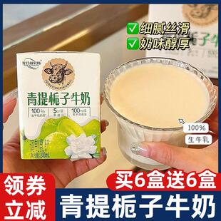 光合颜究所青提栀子牛奶光合研究所 礼盒超市白桃茉莉牛奶200ml