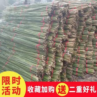 竹竿子园艺支架豆角黄瓜支撑杆花架植物园番茄固定爬藤架菜园搭架