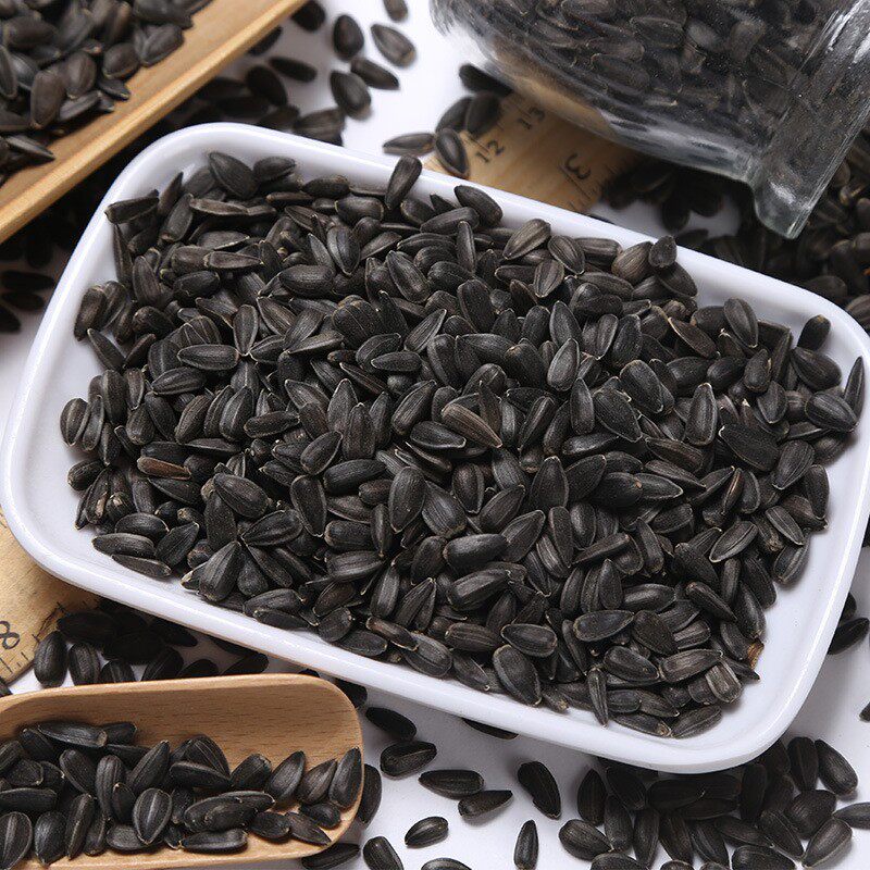 黑珍珠小瓜子葵花籽油葵籽鹦鹉鸟食鹦鹉鸟粮 鹦鹉鸟食鸟饲料5斤装