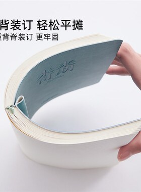 莱恩纸品加厚笔记本A5本子皮面日记本高级感记事本办公会议记录本