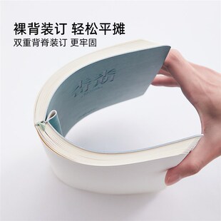 莱恩纸品加厚笔记本A5本子皮面日记本高级感记事本办公会议记录本