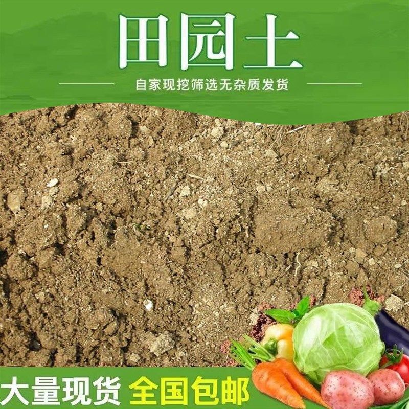 天然田园土壤种植土优质种菜专用通用营养花土碗莲盆栽树泥巴种树,鲜花速递/花卉仿真/绿植园艺,家庭园艺肥料,淘宝优惠券,粉丝福利购,淘宝优惠卷