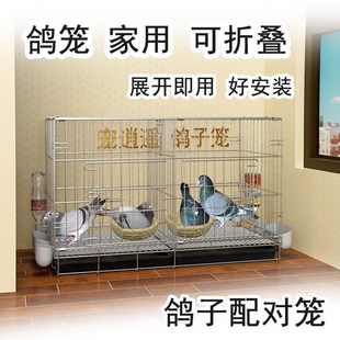 鸽笼家用种鸽繁殖信鸽专用新型白鸽笼大号特大新款配对养殖鸽子笼