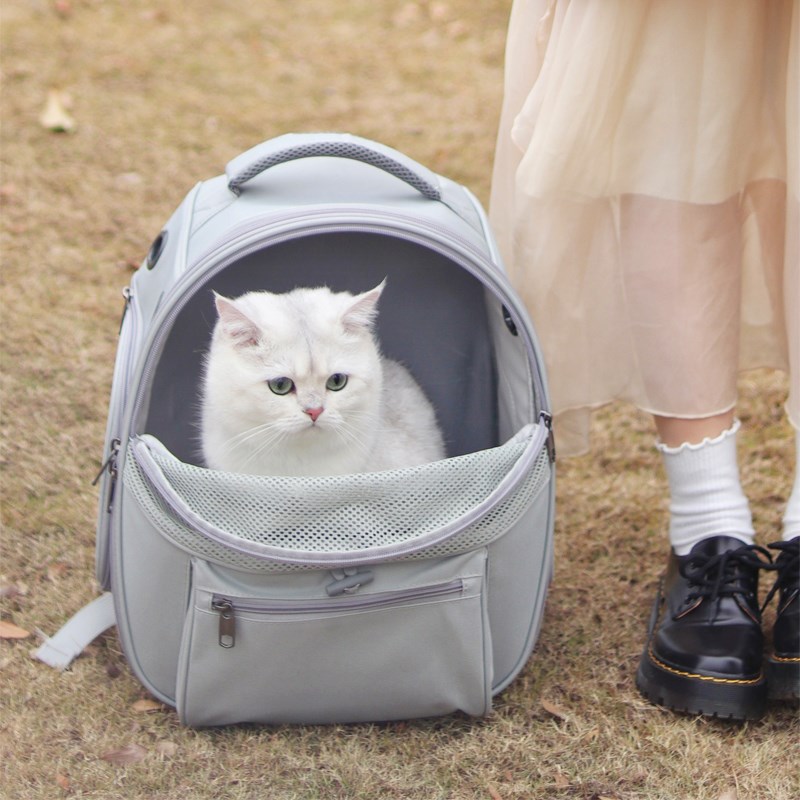 猫咪外出便携包猫书包猫咪背包宠物包狗大容量透气防应激夏天透气