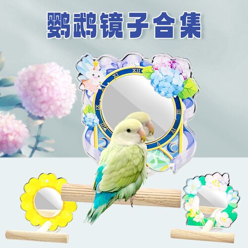 刺星球鹦鹉镜子合集向日葵魔法仙子兰花冰淇淋镜子虎皮玄凤牡丹