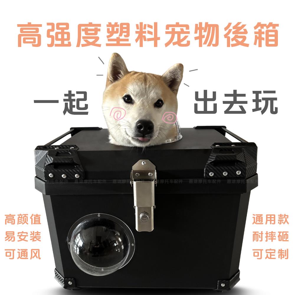 定制摩托车宠物猫狗尾箱比熊泰迪犬后备箱法斗柴犬博美电动车后箱