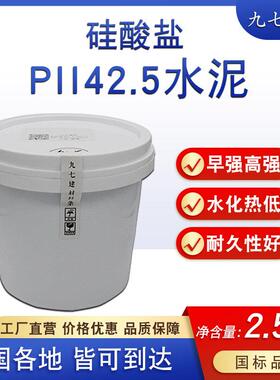 硅酸盐PII42.5水泥国标混凝土砂浆UHPC实验高强度延展灌浆料修补
