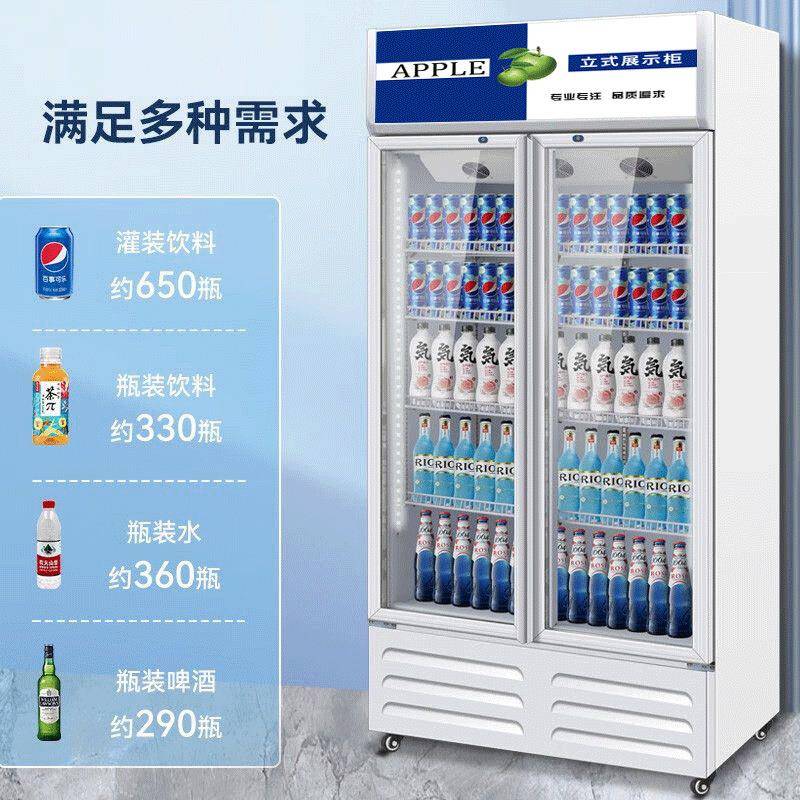 保单双门商用XRX饮柜立三料式冰柜饮料啤酒冷藏鲜柜酒吧超市展示