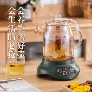 特莱雅全玻璃养生壶家用多功能办公室mini小型煮茶器迷你花茶壶
