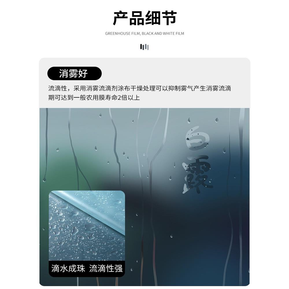 长寿整卷大棚膜抗老化高透光浅蓝色无滴膜瓜果蔬菜专用葡萄避雨棚