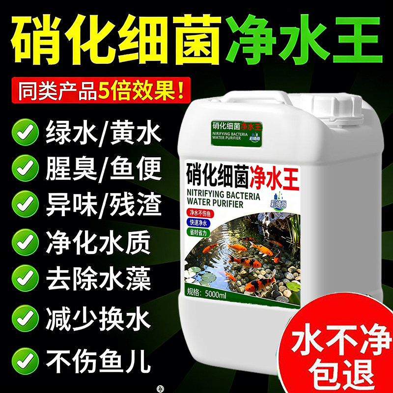 硝化细菌鱼缸净水剂消化细菌水质净化专用锦鲤鱼池稳定剂养水