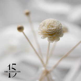 The15thClass「15调」香薰藤条挥发棒香水瓶可用无火香薰扩香室内