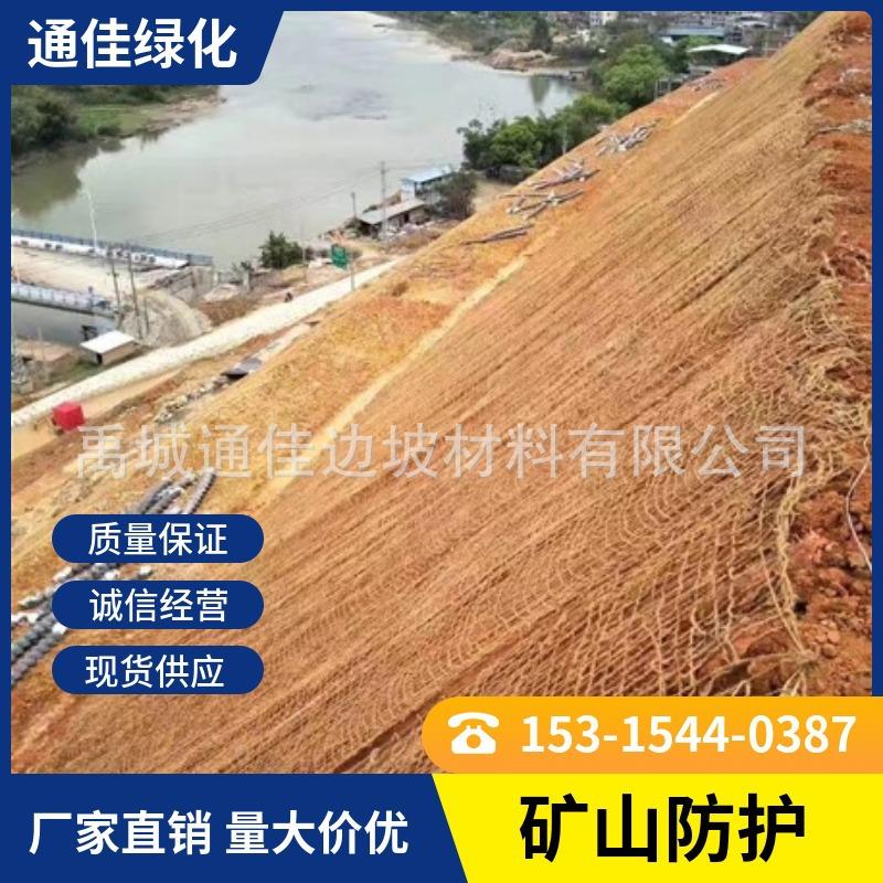 椰  网CF网椰棕网913 护坡网 椰丝体网 防护网 山绿化坡面