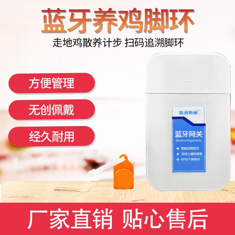 鸡用脚环DCN蓝无线识传输实时定计位步RFI牙D个体别智能计步定位
