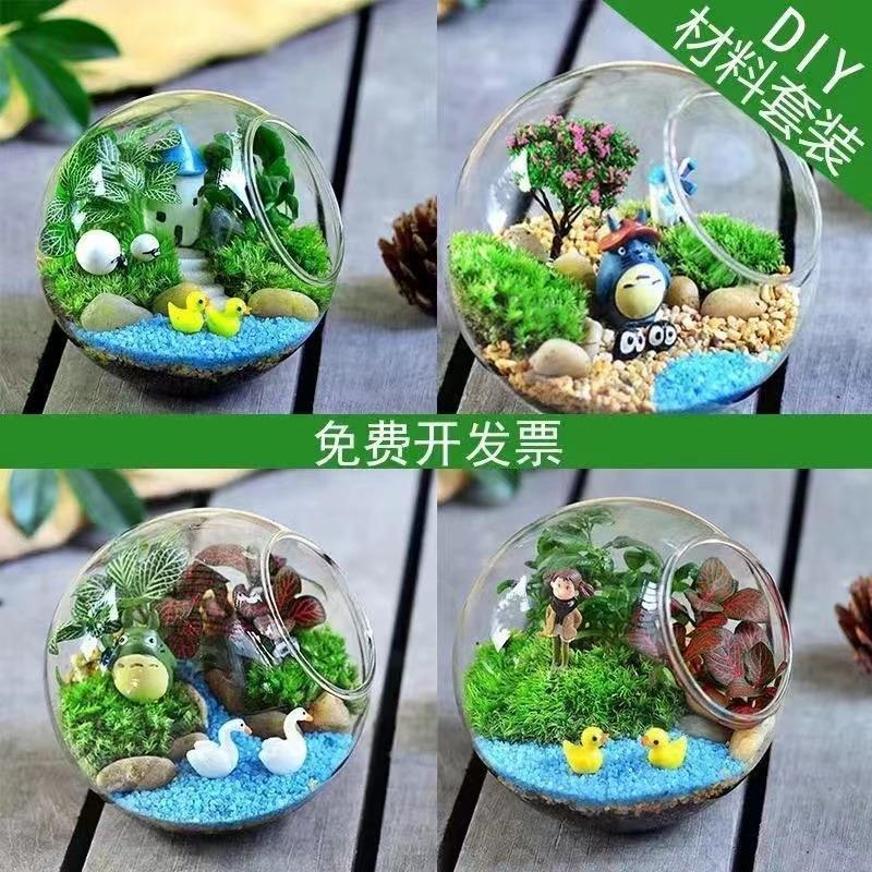新品活动苔藓微景观diy材料包玻璃瓶手工多肉绿植盆栽礼品套装