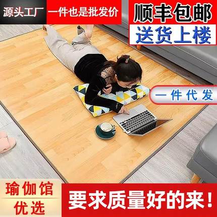 碳晶地暖垫发热地毯家用移动暖脚地热垫客厅石墨烯电加热地毯