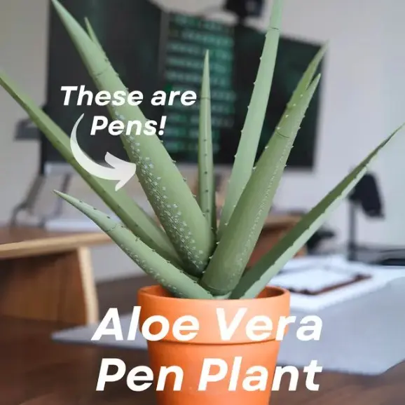 3D打印芦荟仿真盆栽笔芯barbados aloe