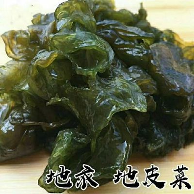 地皮菜甘肃野菜干货地软地达菜地衣雷公菌地耳新货地皮菜野生批发