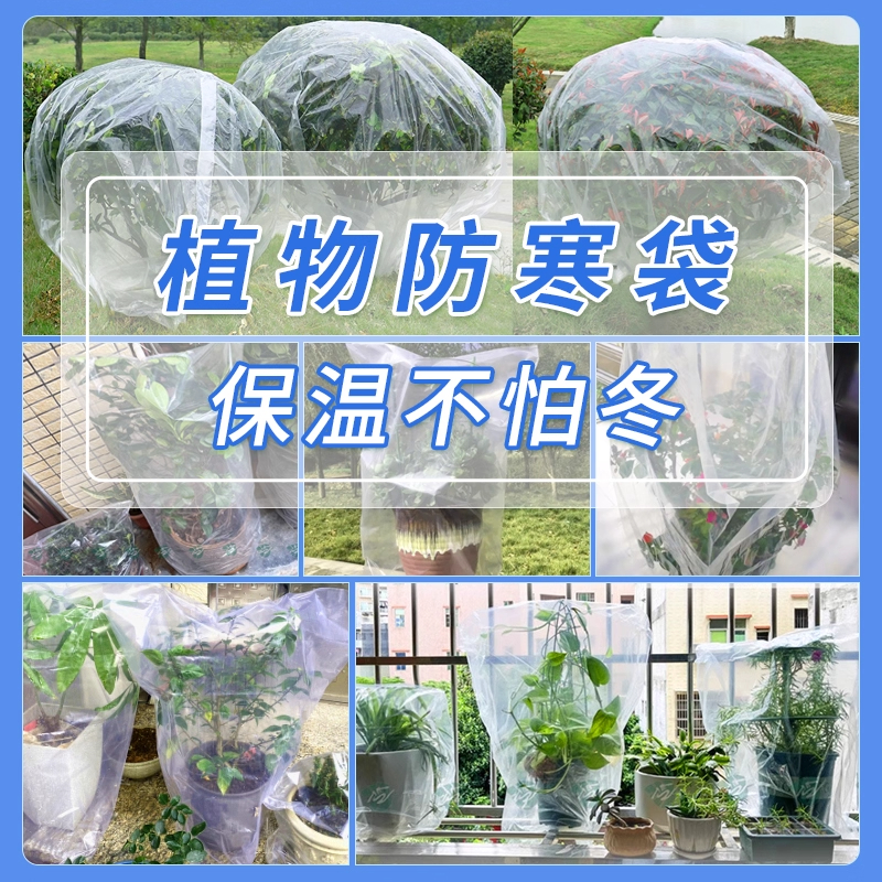 绿植物防冻保温袋塑料膜花卉盆栽过冬保护罩树木防寒布透明防尘袋