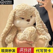 现货可爱择偶记兔子毛绒玩具丢丢兔超萌小兔兔安抚兔玩偶抱枕