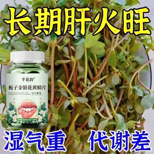 【经常上火】栀子金银花黄精片甘草清热去火去五脏之火火旺内热