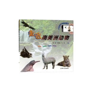 走近南美洲动物儿童动物科普绘本小学生课外阅读了解南美洲动物自然知识探索上海大学出版社