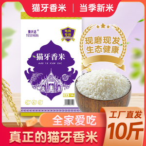 息州印象旗舰店！软糯回甜正宗猫牙米香米10斤