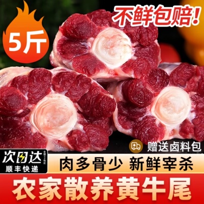 牛尾骨宝宝新鲜牛尾巴整根黄牛肉