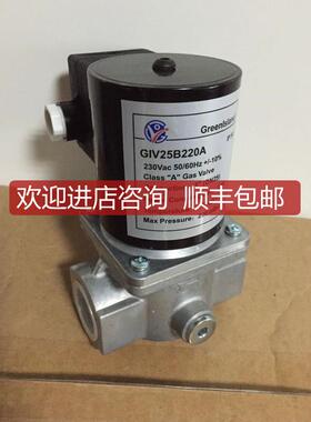 询价GIV15B220A,GIV25B220A，GIV20B220A电磁阀