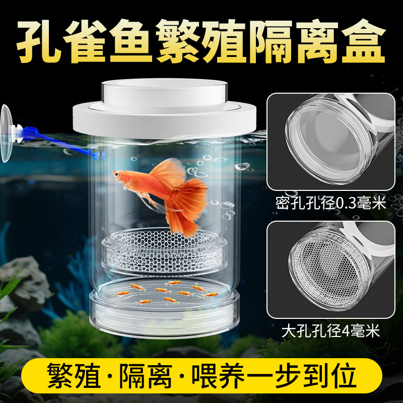 鱼缸隔离盒孔雀鱼繁殖盒