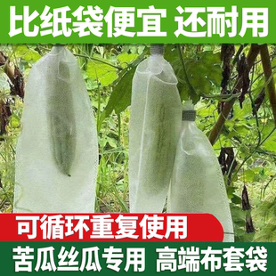 丝瓜黄瓜青瓜苦瓜套袋专用袋防虫袋子保护套纸袋防水瓜果蔬菜水果
